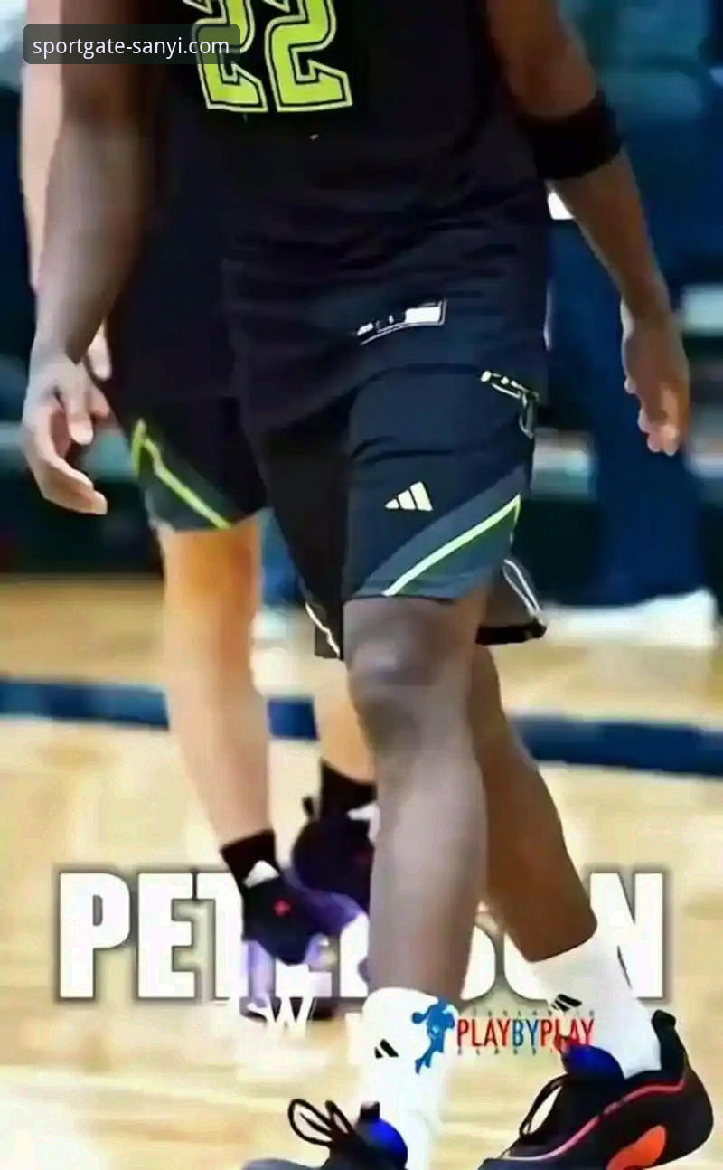 三亿体育怎么安装必备 三亿体育平台解读布泽尔父子NBA选秀备战全攻略教程