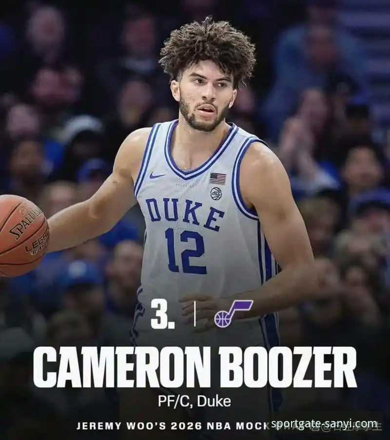 三亿体育怎么安装必备 三亿体育平台解读布泽尔父子NBA选秀备战全攻略教程